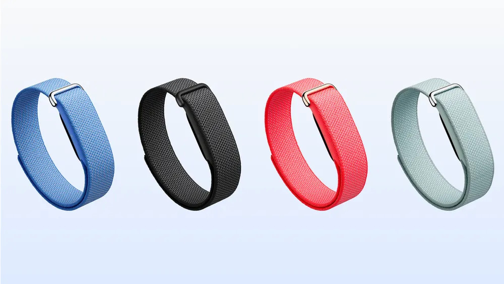Google Fitbit Air Performance Loop bandje